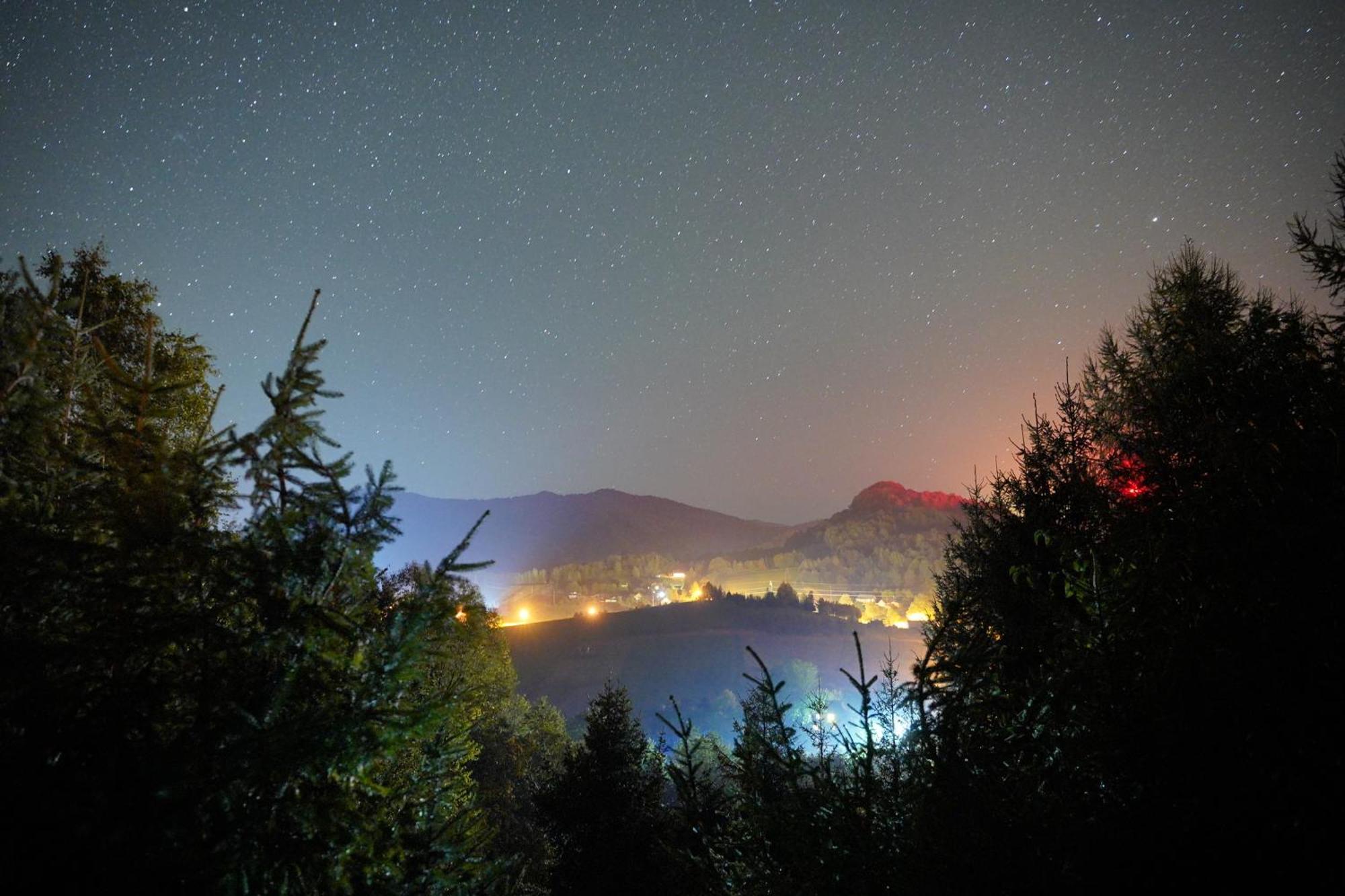 Urocza Chata Z Sauna W Bieszczadzkim Parku Krajobrazowym Bukowiec  Dış mekan fotoğraf