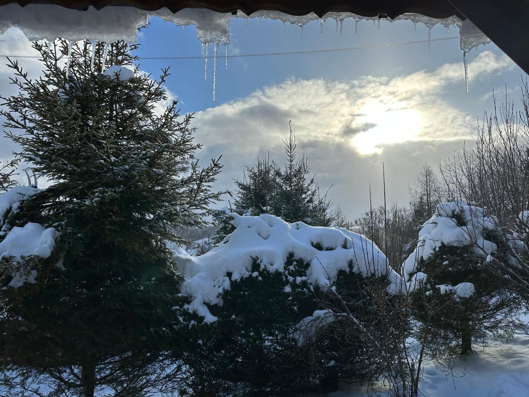 Urocza Chata Z Sauna W Bieszczadzkim Parku Krajobrazowym Bukowiec  Dış mekan fotoğraf