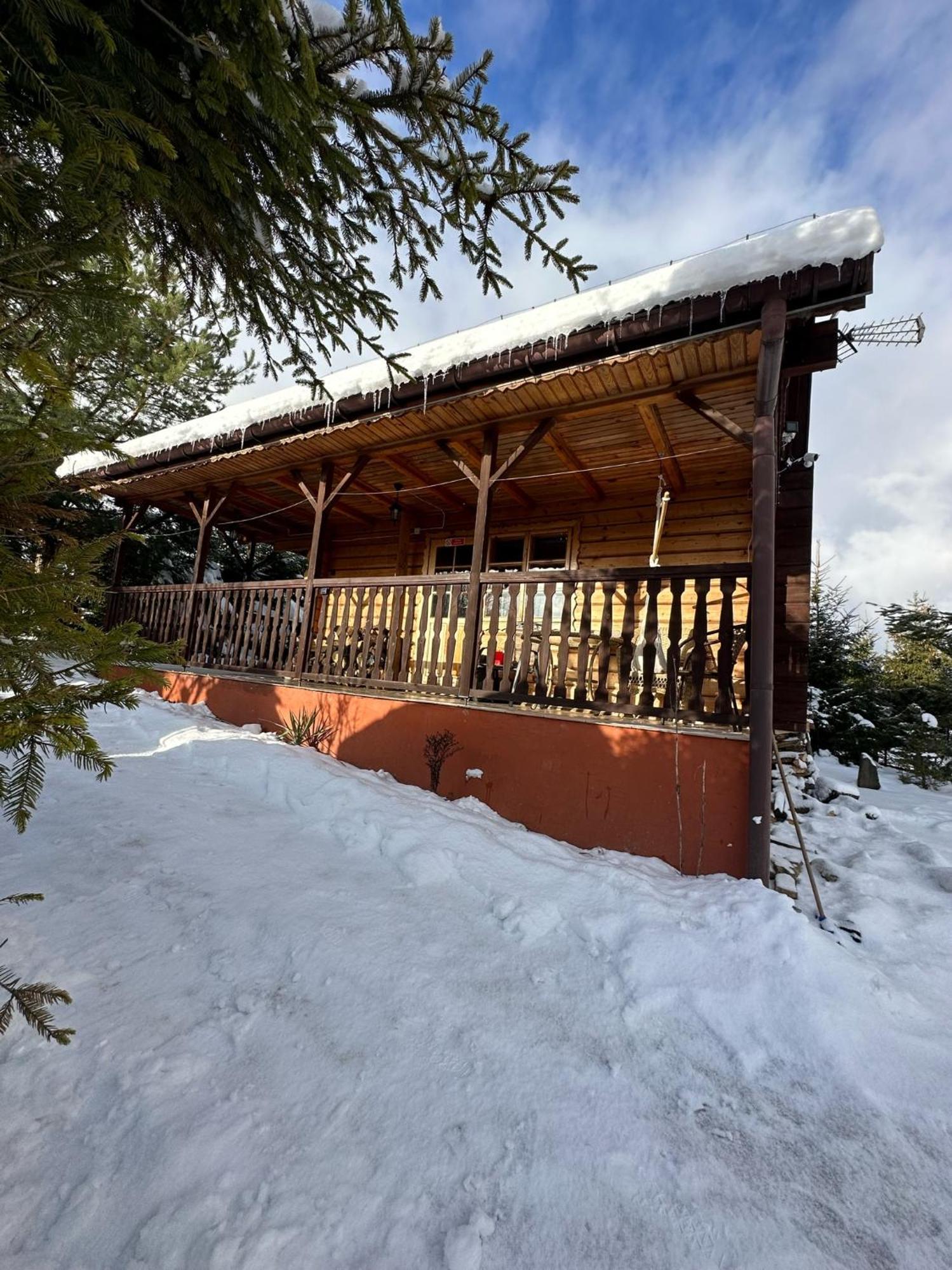 Urocza Chata Z Sauna W Bieszczadzkim Parku Krajobrazowym Bukowiec  Dış mekan fotoğraf